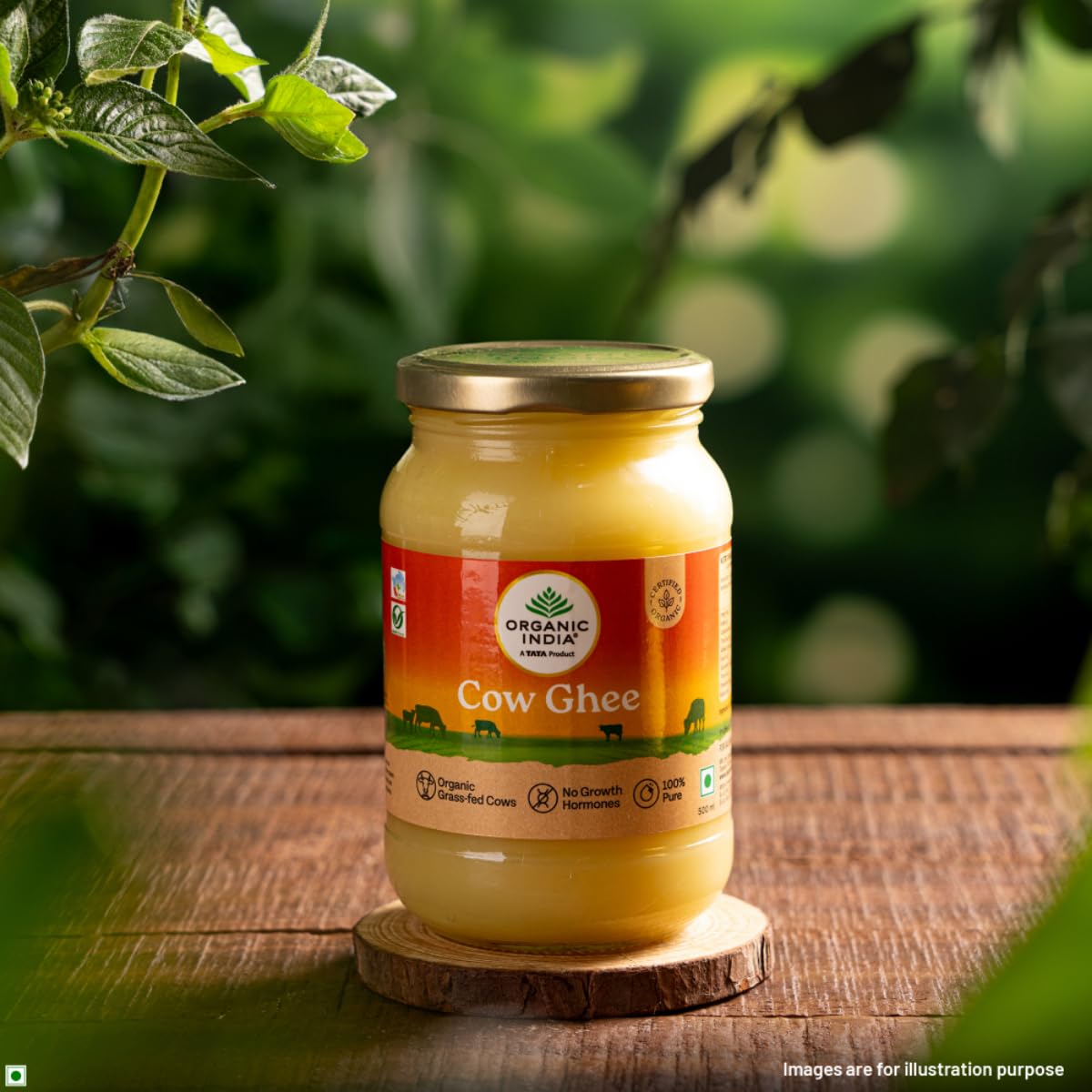 A TATA Product - Organic India Pure Cow Ghee, 500ml, Lab Tested on 600+ Parameters, Certified Organic, Glass Bottle, Sourced from Organically Fed Cows, Authentic Taste, Rich in Healthy Fat – view 2