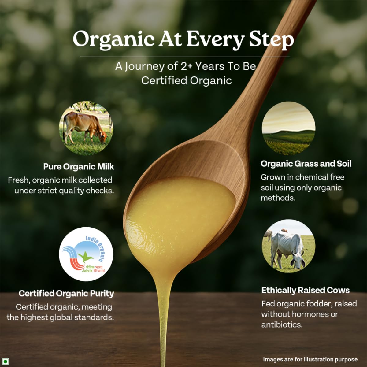 A TATA Product - Organic India Pure Cow Ghee, 500ml, Lab Tested on 600+ Parameters, Certified Organic, Glass Bottle, Sourced from Organically Fed Cows, Authentic Taste, Rich in Healthy Fat – view 4