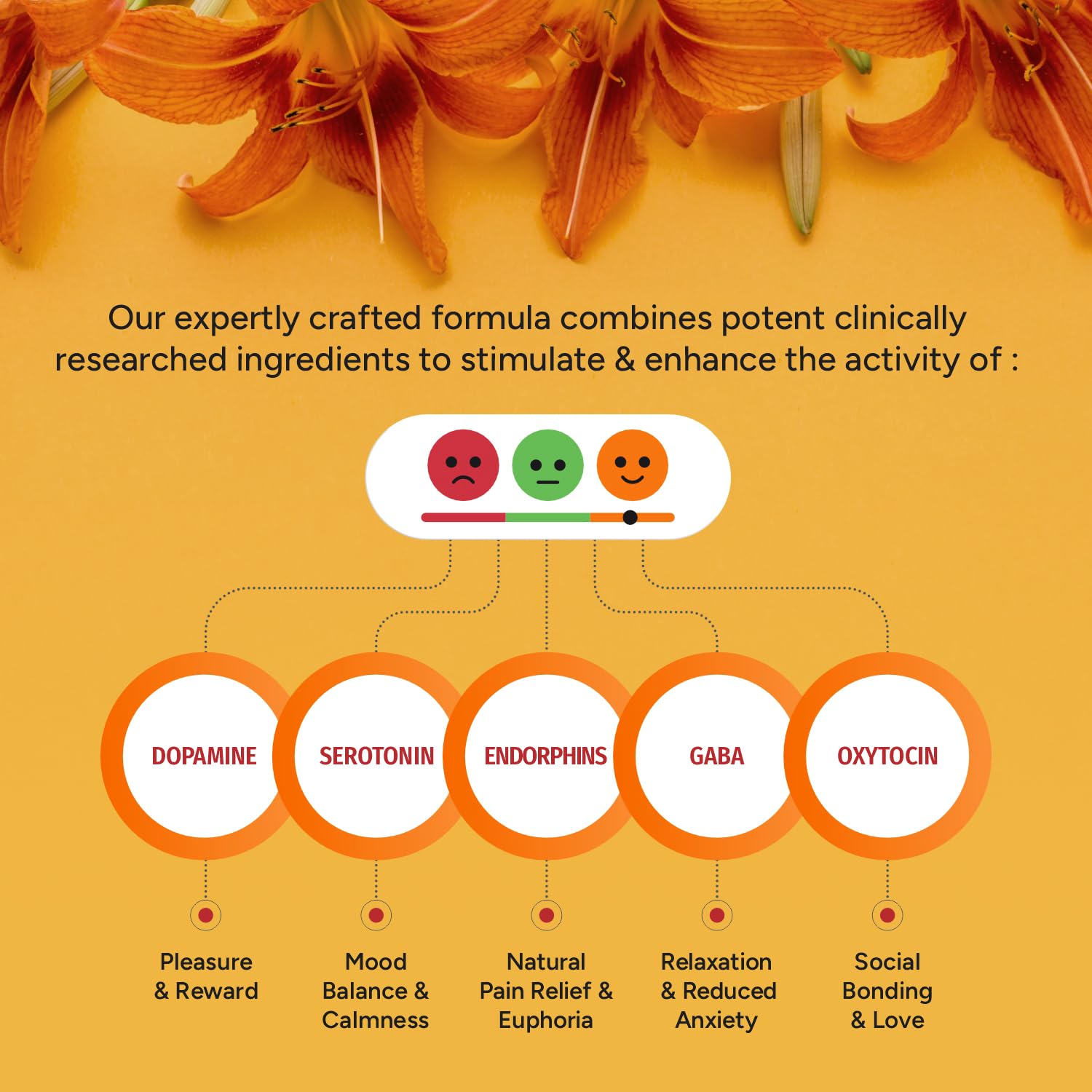 Bliss Welness Happy Bliss : Happiness, Anxiety & Stress Relief Supplement – view 9