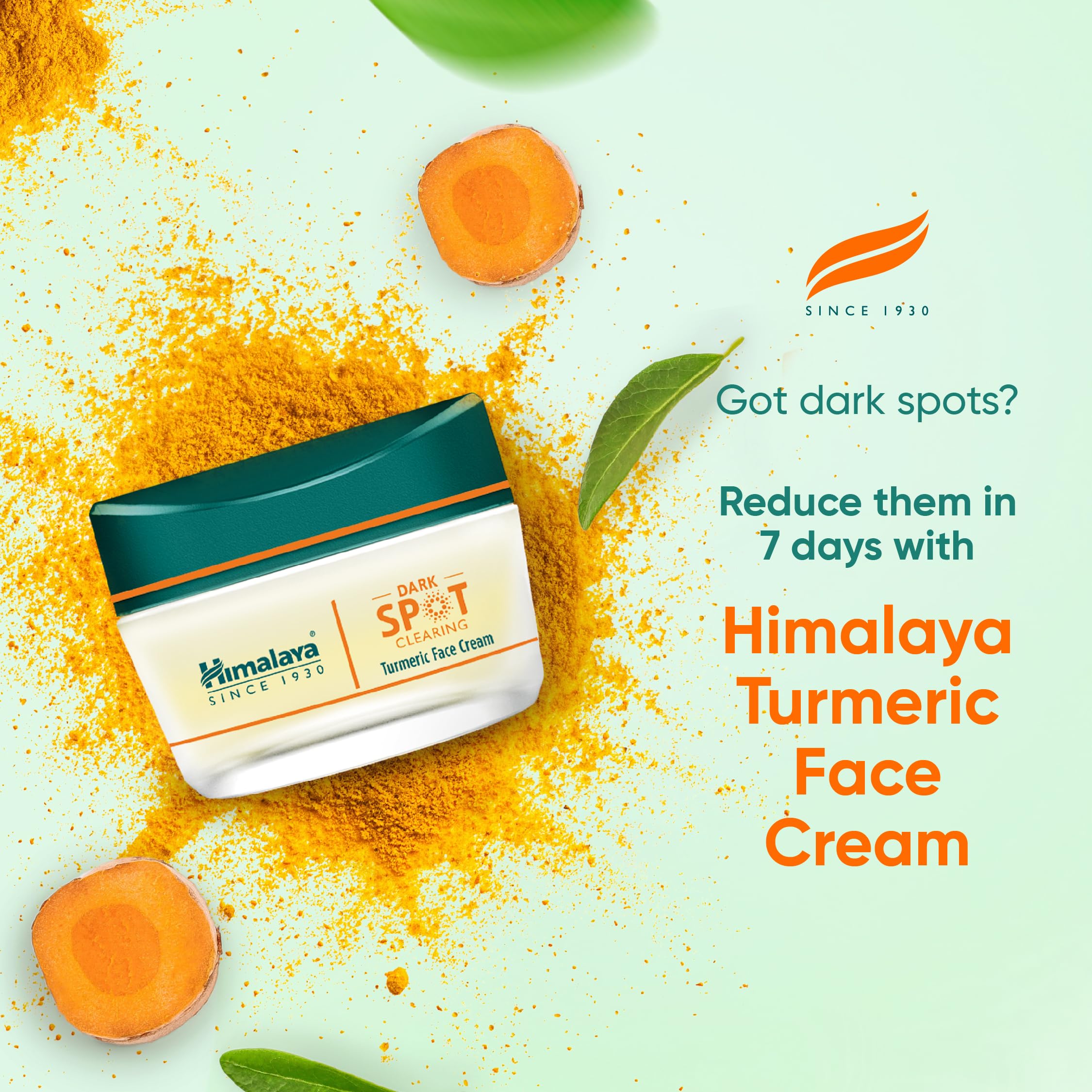 Himalaya Wellness Company Dark Spot Clearing Turmeric Face Cream – view 2