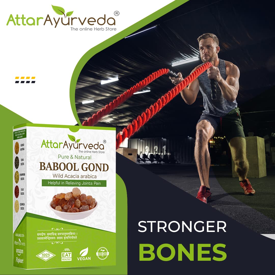 Attar Ayurveda Babul Gond Gum - Kikar Gond - Babool Gond - Acacia arabica Willd (250 Grams) – view 4