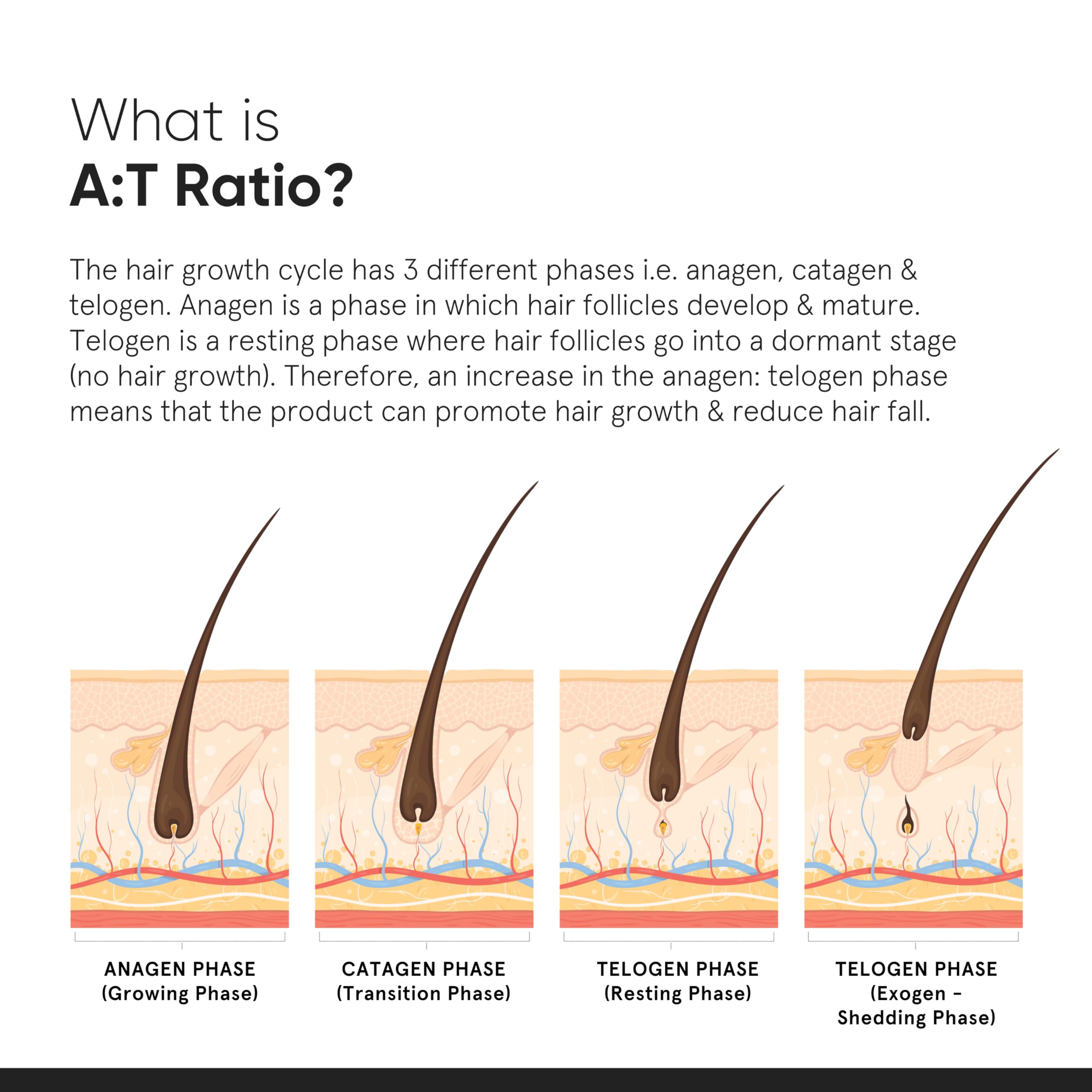Minimalist Hair Growth Serum With 3% Redensyl, 3% Anagain, 3% Procapil, 5% Capixyl & 4% Baicapil 18% Hair Growth Actives – view 7