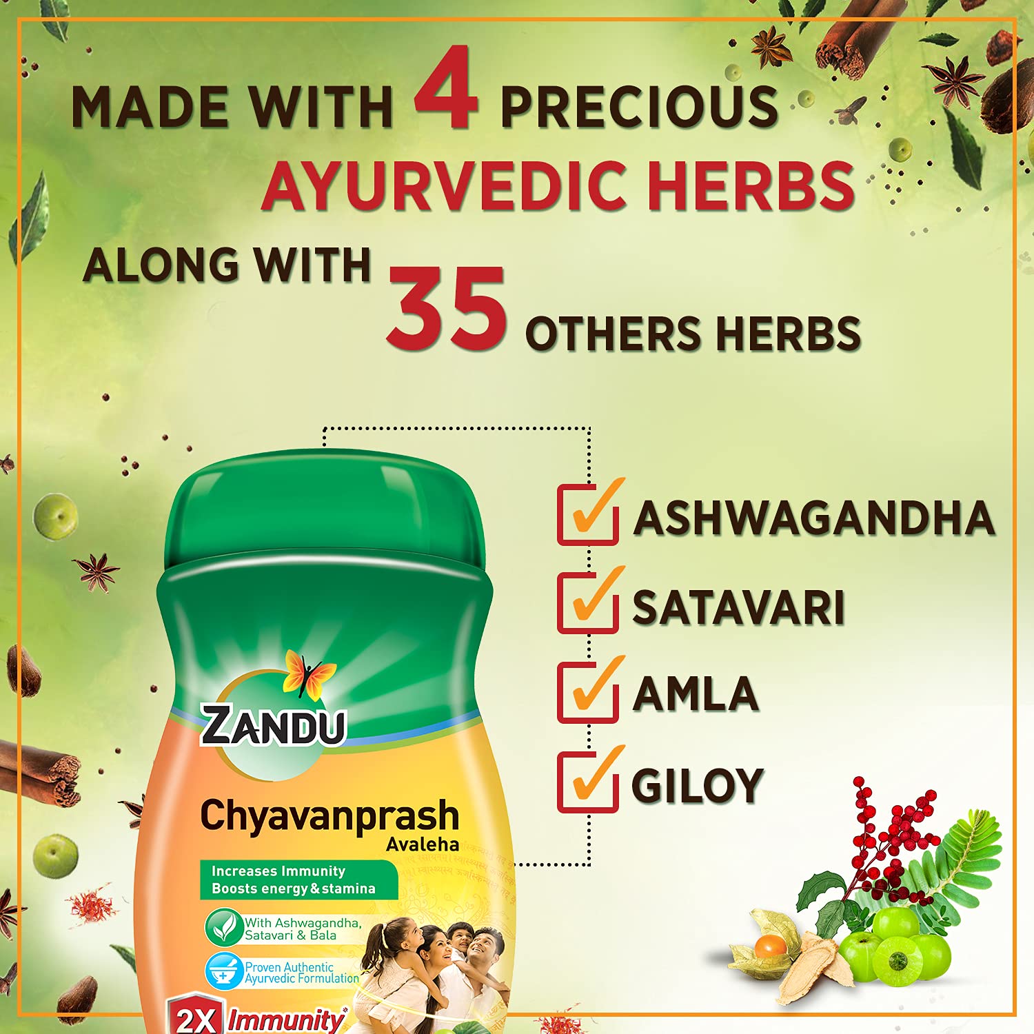 ZANDU CHYAVANAPRASH Avaleha for Increasing Immunity and Stamina, 900g – view 4