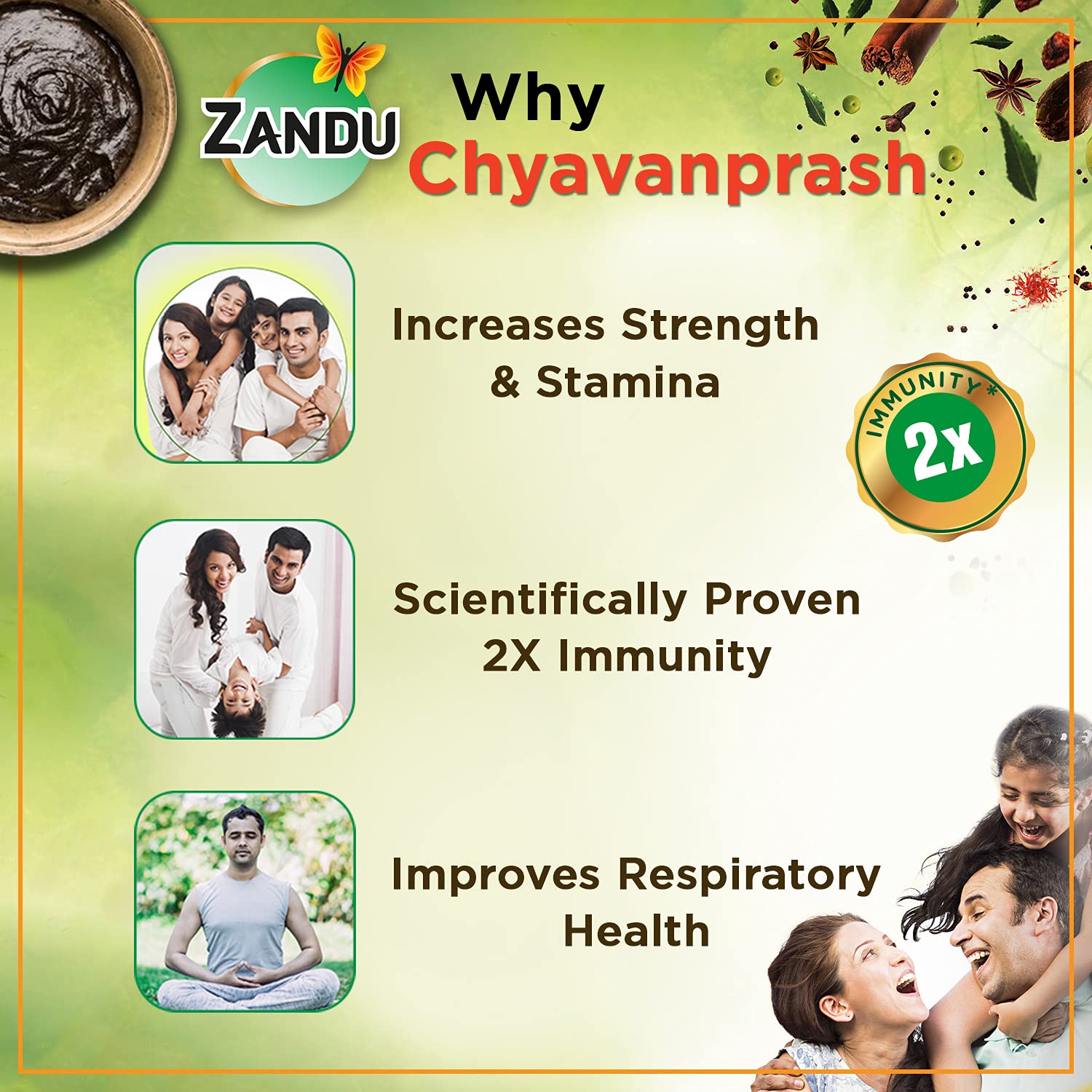 ZANDU CHYAVANAPRASH Avaleha for Increasing Immunity and Stamina, 900g – view 5