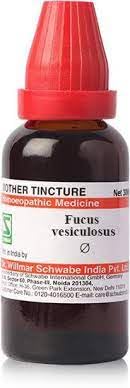 Dr Willmar Schwabe India Fucus Vesiculosus Q 30ML (Pack of 2