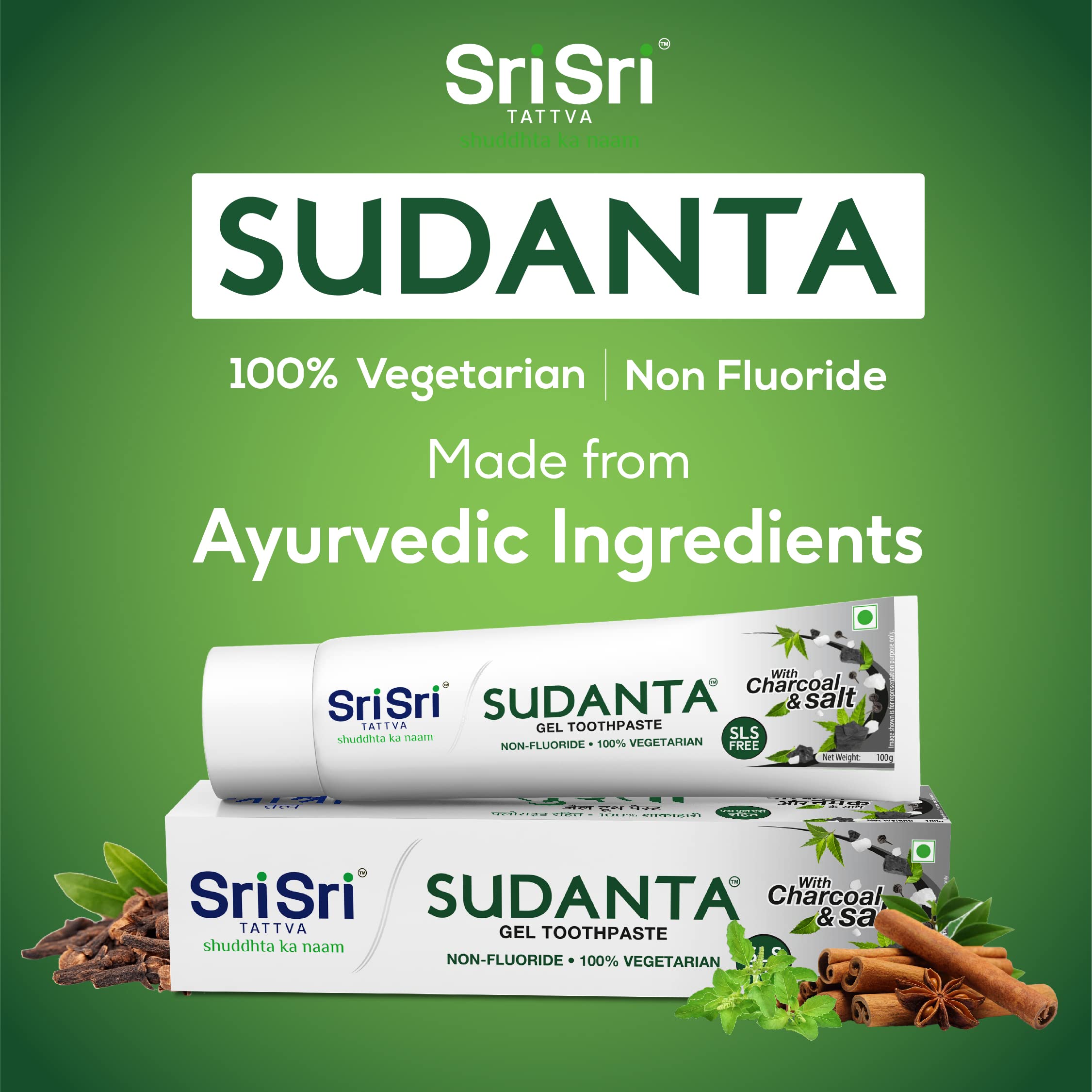 Sri Sri TATTVA shuddhta ka naam Sudanta Herbal Gel Toothpaste - All Natural, SLS Free, Fluoride Free Tooth Paste with Charcoal, Salt & More - 100g (Pack of 2), for Kids and Adults – view 3