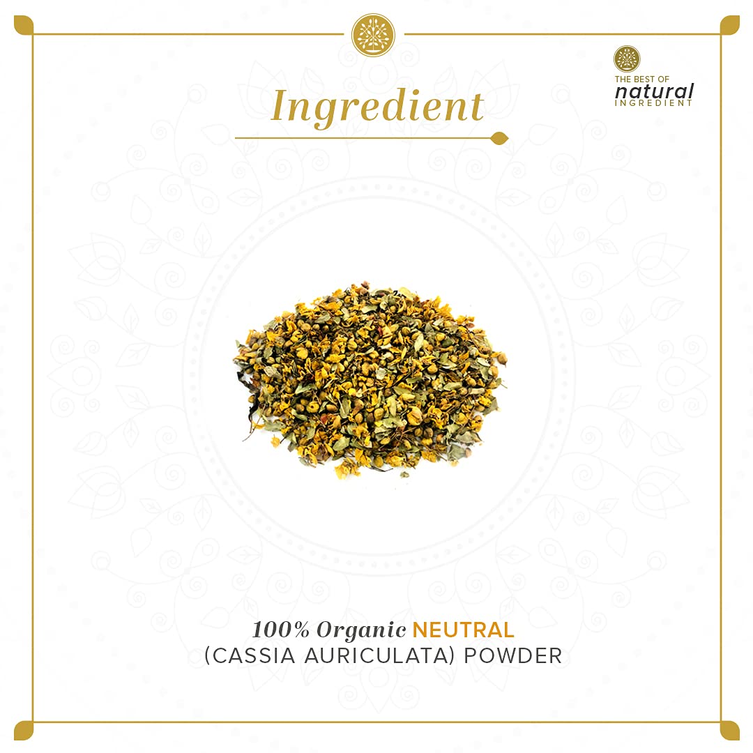 KHADI NATURAL Neutral Organic Powder – view 6
