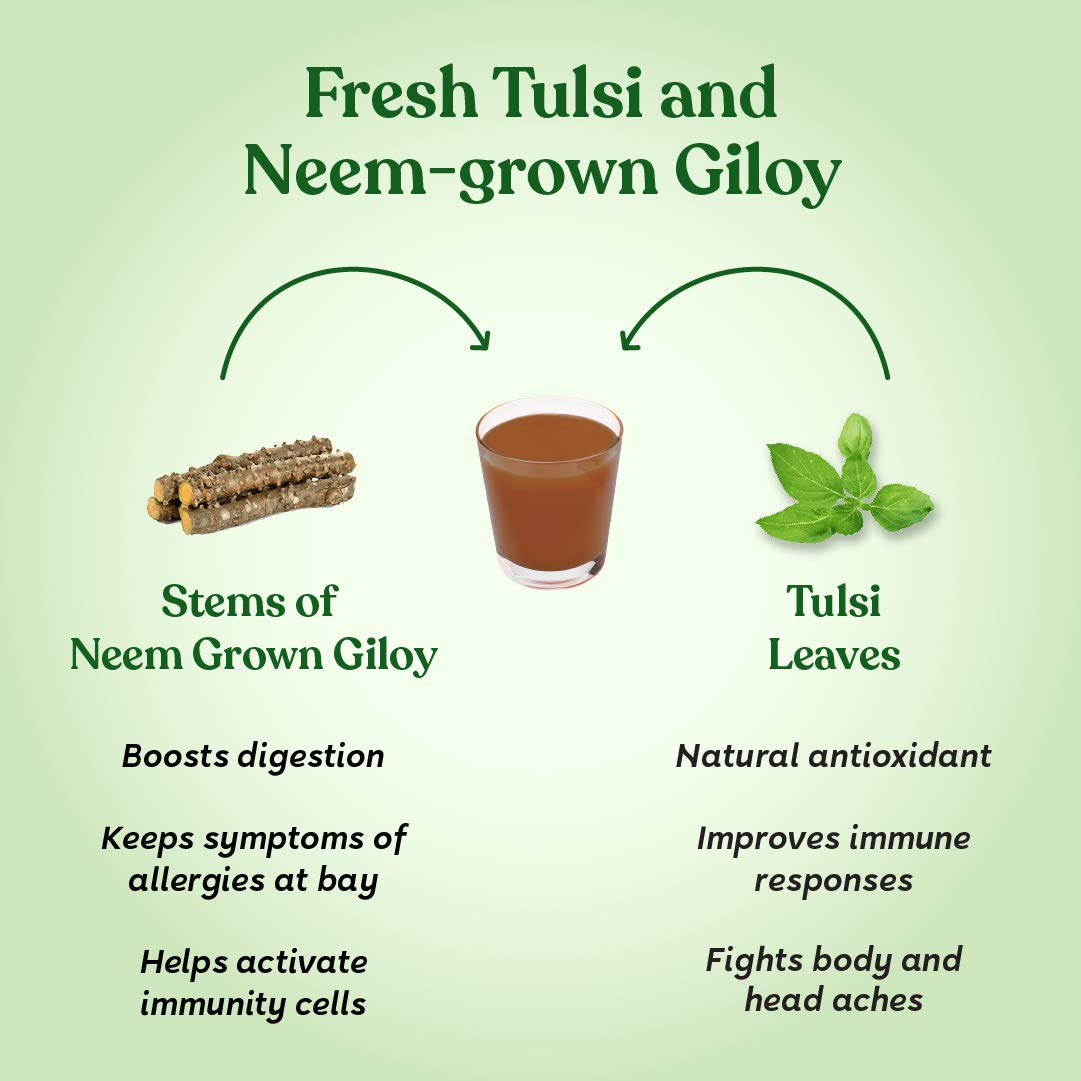 Kapiva Wild Tulsi Giloy 1L + Kapiva Wild Amla Juice 1L – view 4