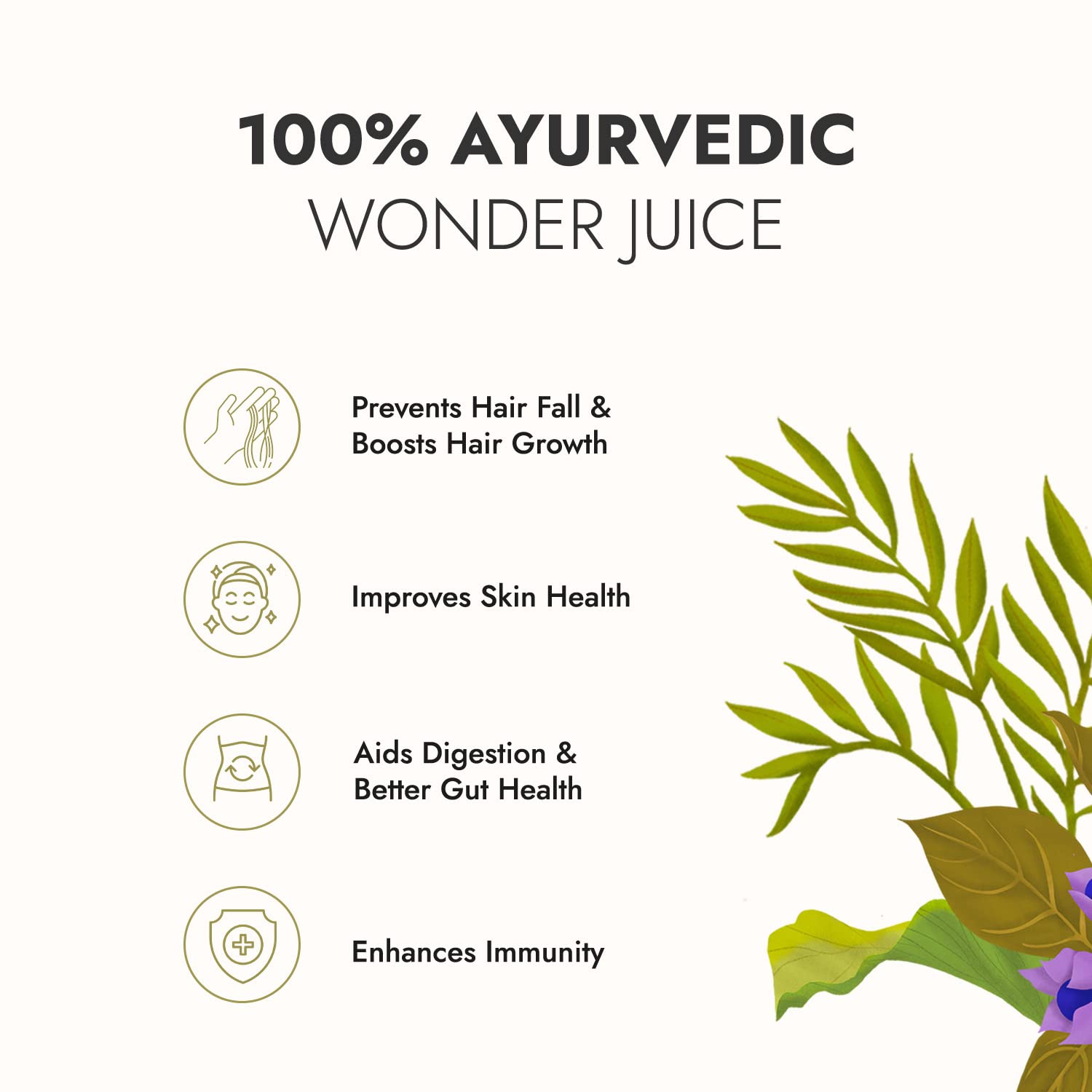 Kapiva Wild Tulsi Giloy 1L + Kapiva Wild Amla Juice 1L – view 5