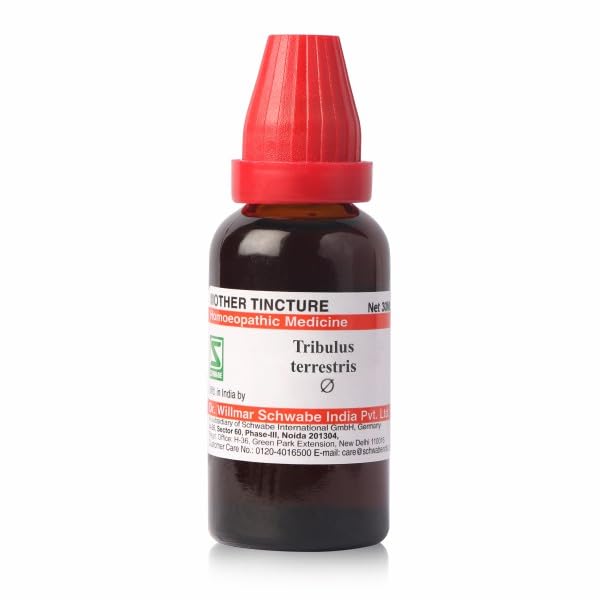 Dr. Willmar Schwabe Tribulus Terrestris MT 30 ml bottle