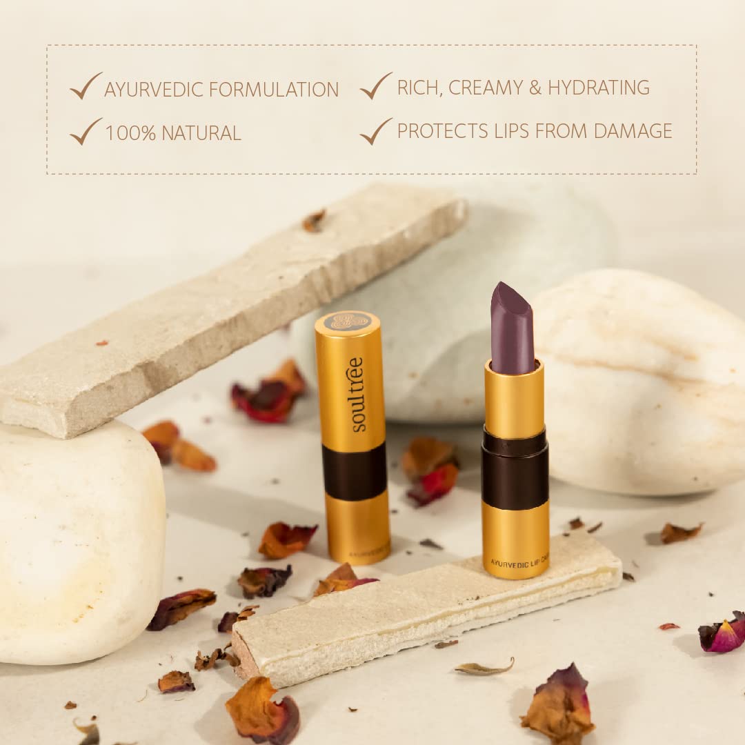 SoulTree Ayurvedic Lipstick - Colour Cocoa Rich 906, 4gm – view 5