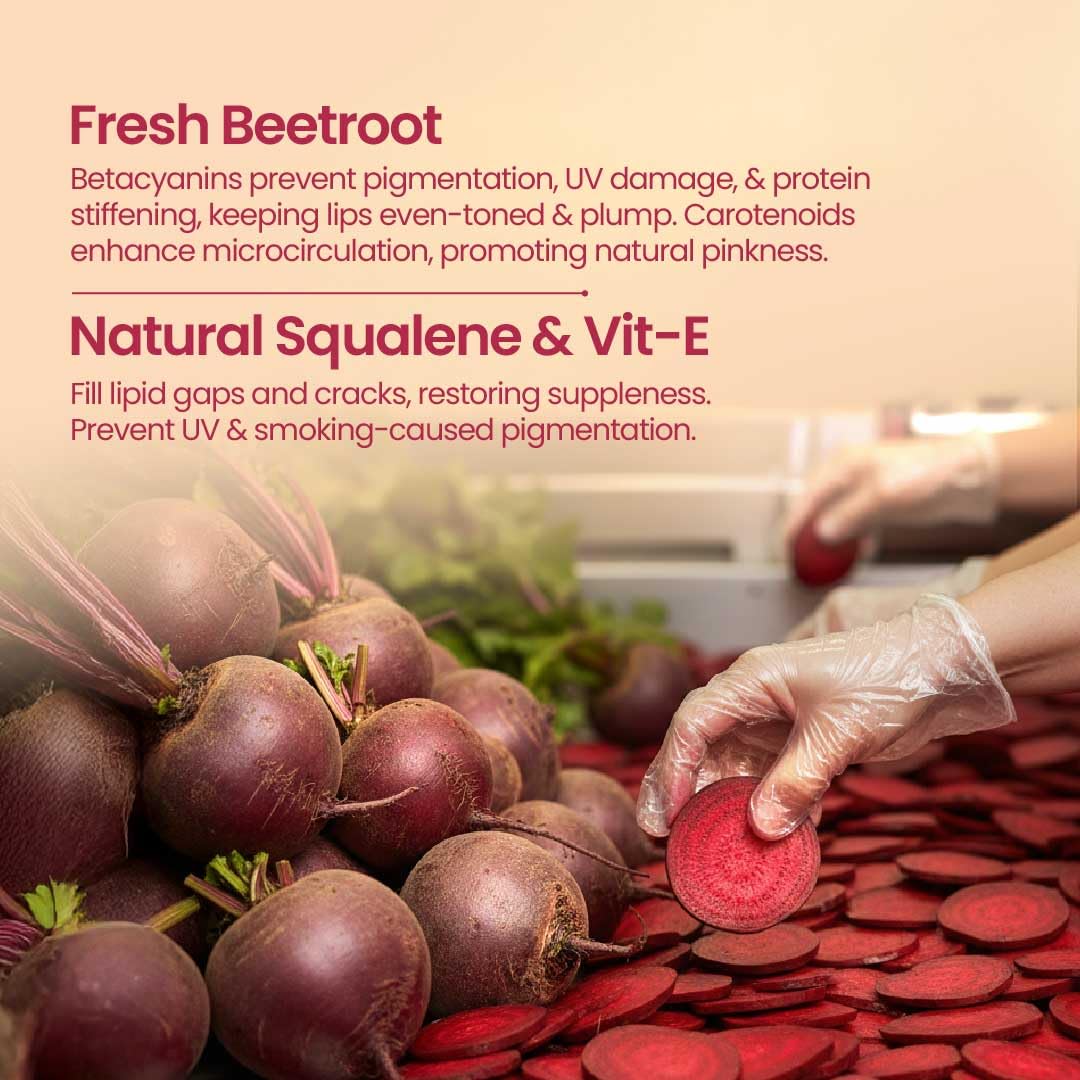Nat Habit Lip Balm Fresh Beetroot Crush Lip Butter With Desi Ghee & Raw Honey For Lip Pigmentation, Lightening, Dark And Chapped Lips, Pack of 2 X 8g – view 4