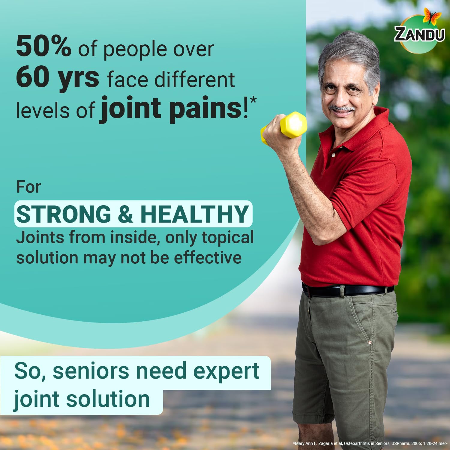 Zandu Seniorz Complete Joint Expert Tablet, 60 Tablets Helps Protect Joints, Relieve Joint Pain & Make Joints Strong, Supports Overall Joint Health,100% Ayurvedic & Natural Supplement – view 2
