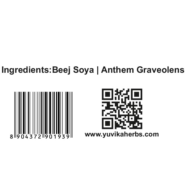 YUVIKA Beej Soya - Soya Seeds - Dil Seeds - ShataPushpa - Anthem Graveolens (100 Grams) – view 4