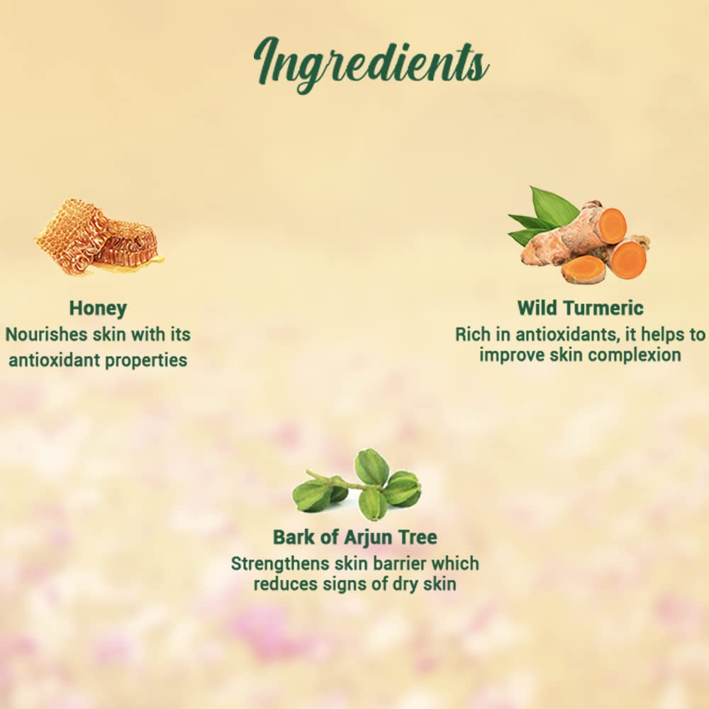 Biotique Honey Gel Soothe & Nourish Foaming Face wash – view 7