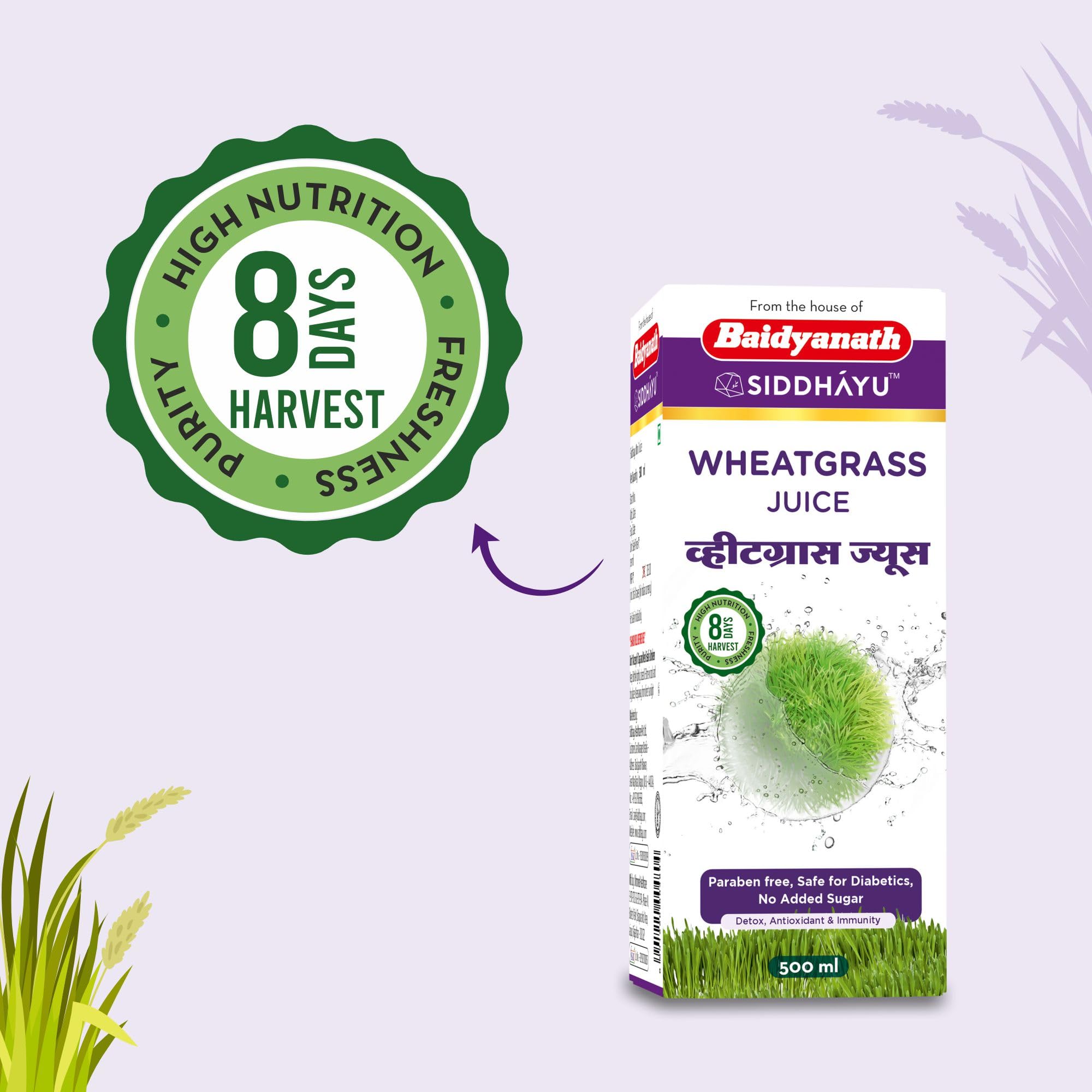 Baidyanath Wheatgrass Juice - 500ml – view 2