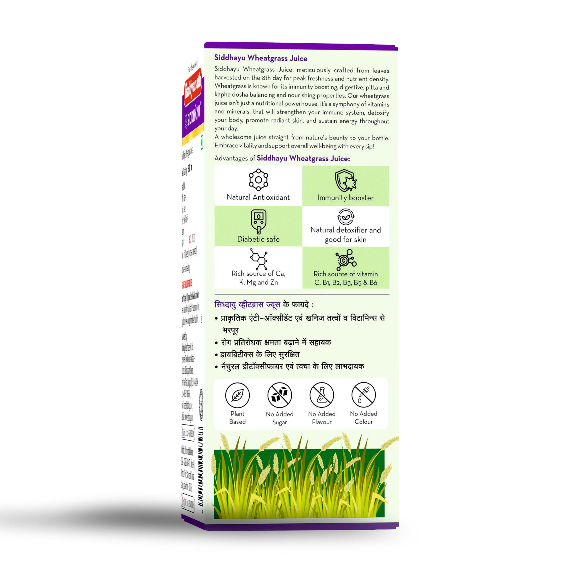Baidyanath Wheatgrass Juice - 500ml – view 6