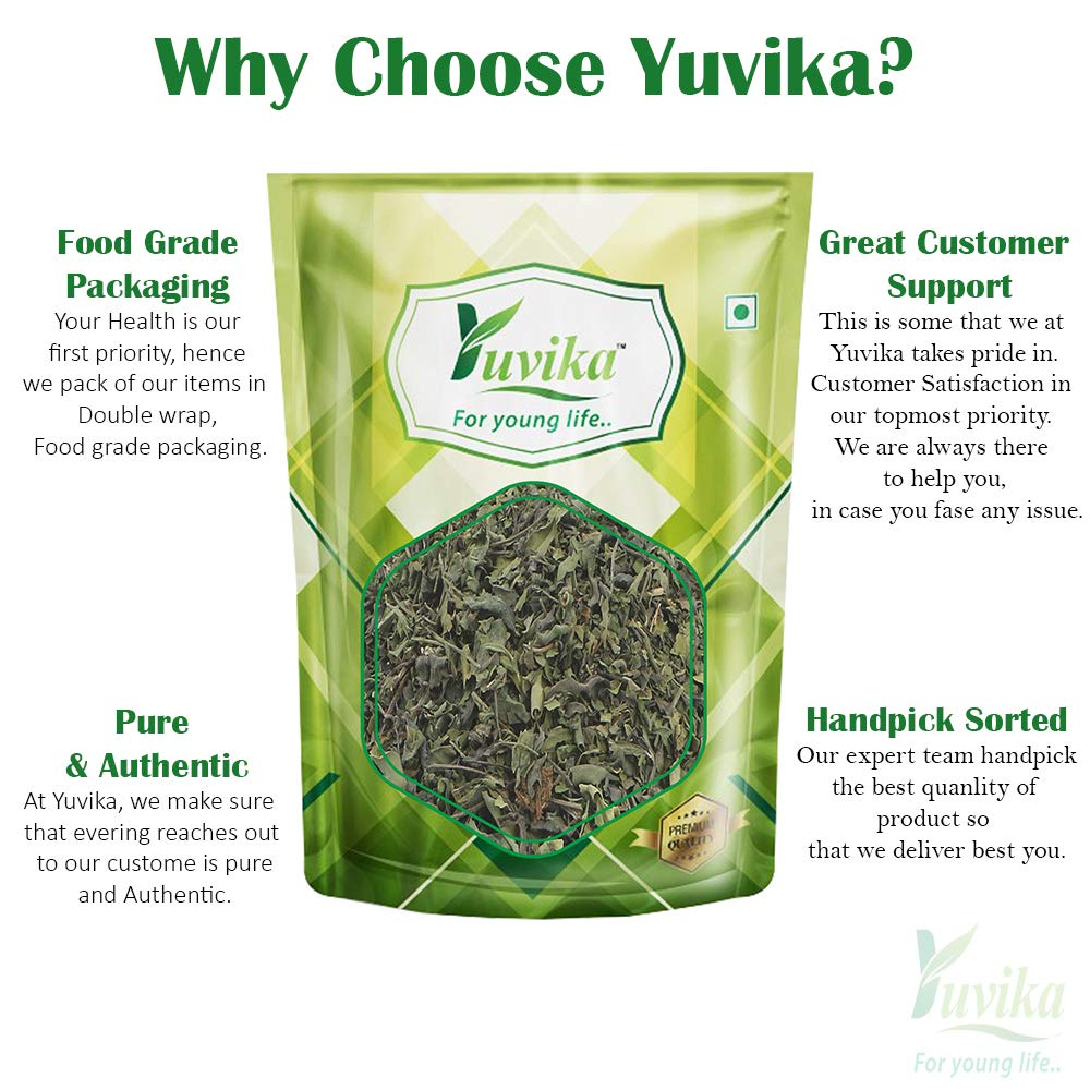 Yuvika Indigo Leaves - Indigo Leaf - Neel Patti - Neelambari - Indigofera Tinctoria 100 Grams – view 3