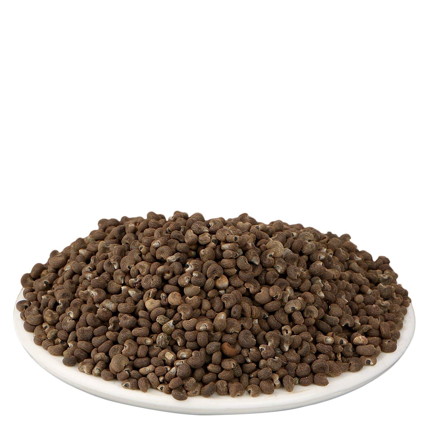 YUVIKA Mushk Dana - Mooshk Dana - Abelmoschus Moschatus - Ambrette Seeds (100 Grams) – view 2