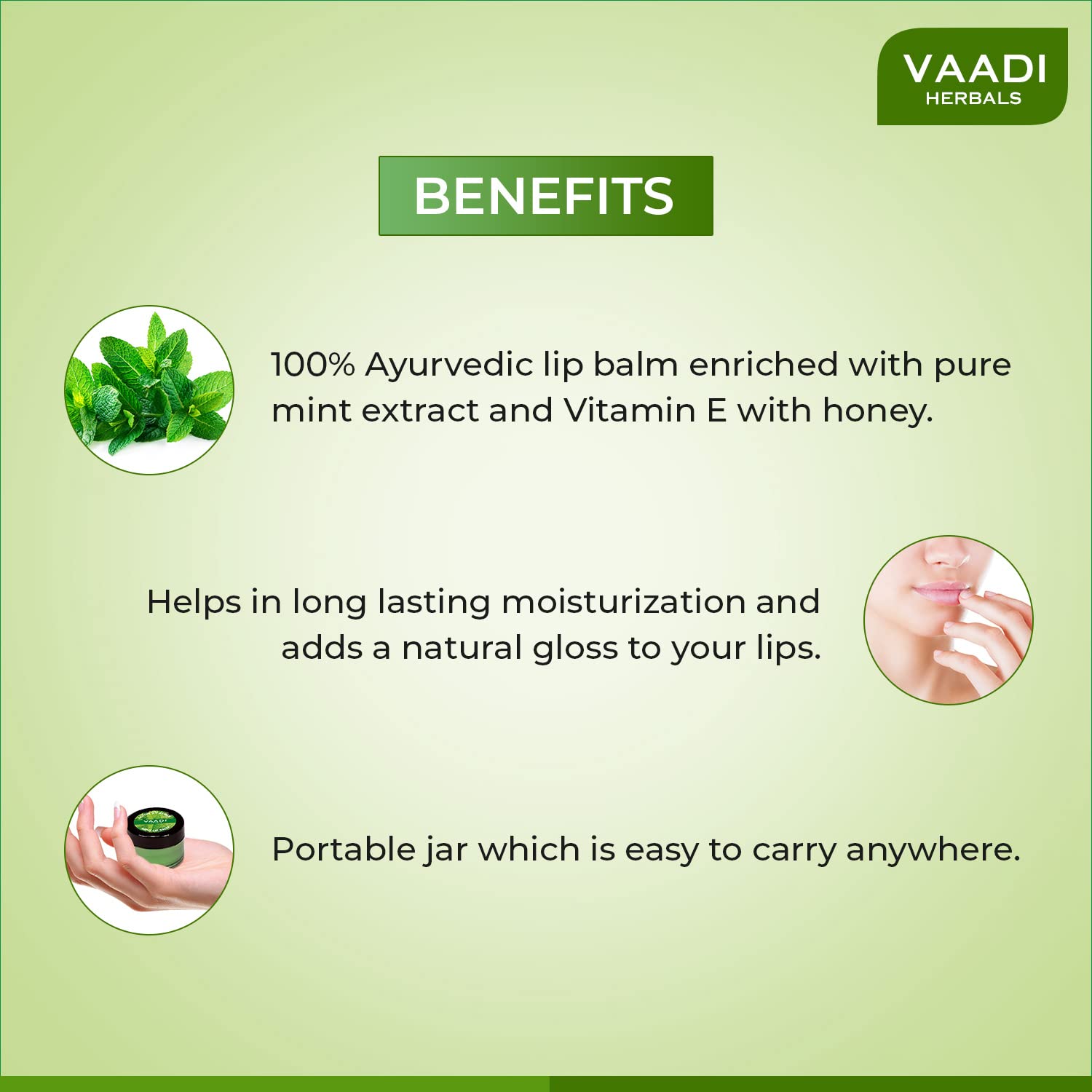 Vaadi Herbals Value Lip Balm, Mint, 4 x 10g – view 3
