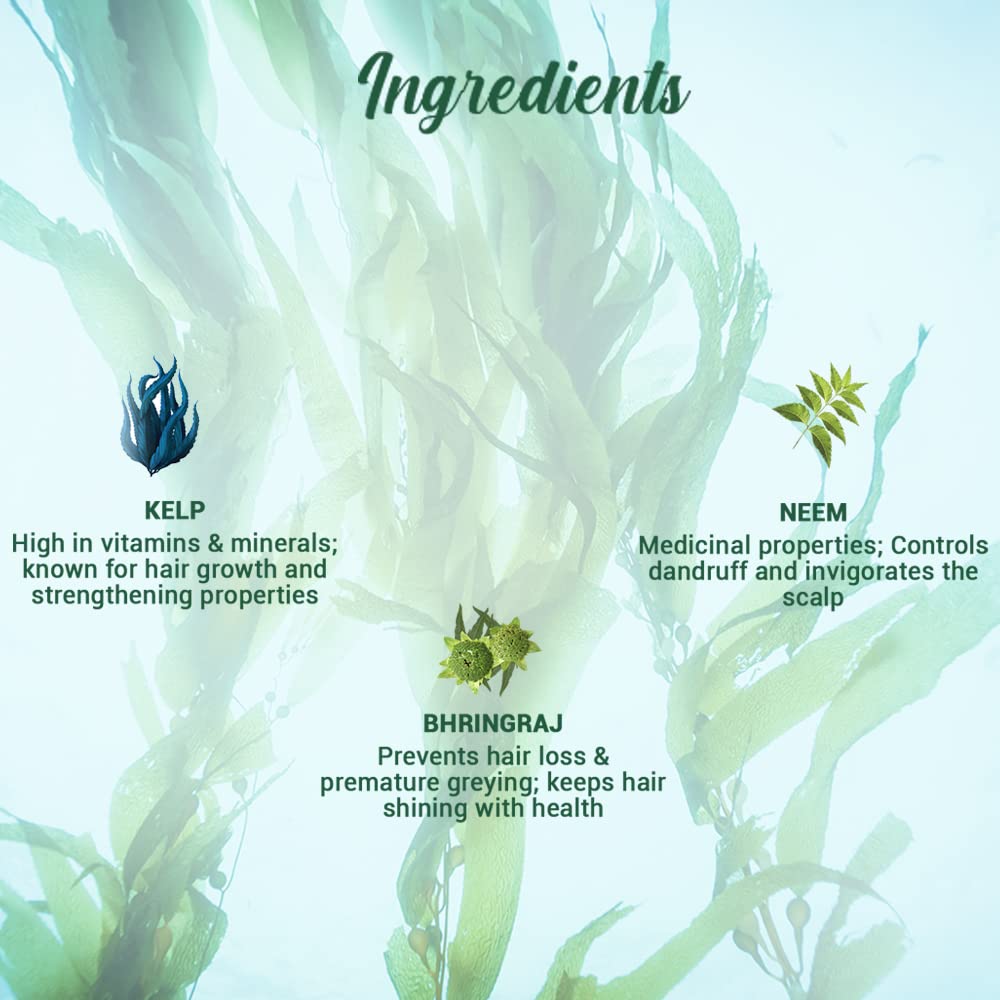 Biotique Ocean Kelp Anti Hairfall Shampoo – view 7