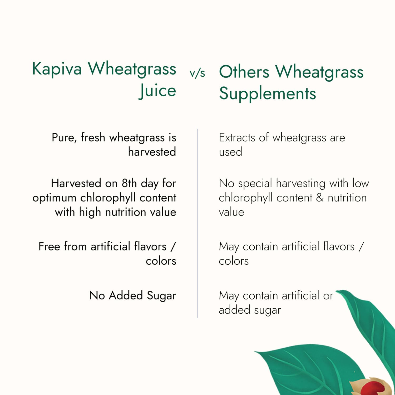 Kapiva Wheatgrass Juice 1L - Help's to Detoxify the Liver, Cleanse the Digestive System, Boost Metabolism & Purify Blood – view 3