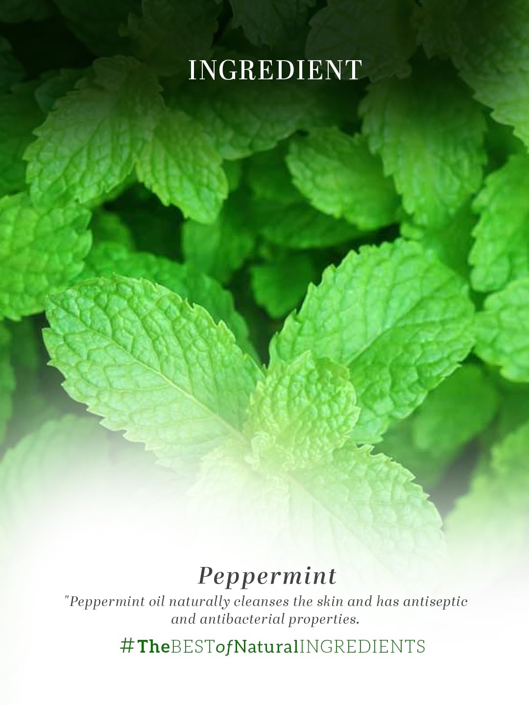 Khadi Natural Herbal Peppermint Essential Oil, 15ml – view 6