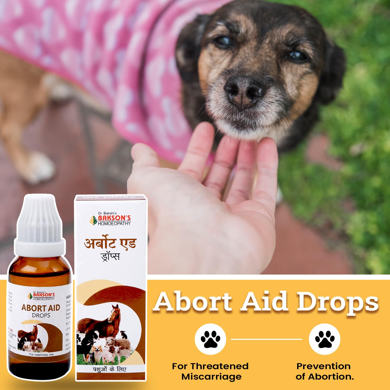 Bakson Veterinary – view 4