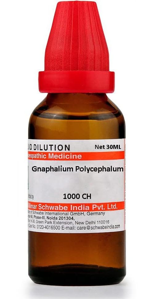 Dr Willmar Schwabe India Gnaphalium Polycephalum Dilution - 1000 CH – view 1