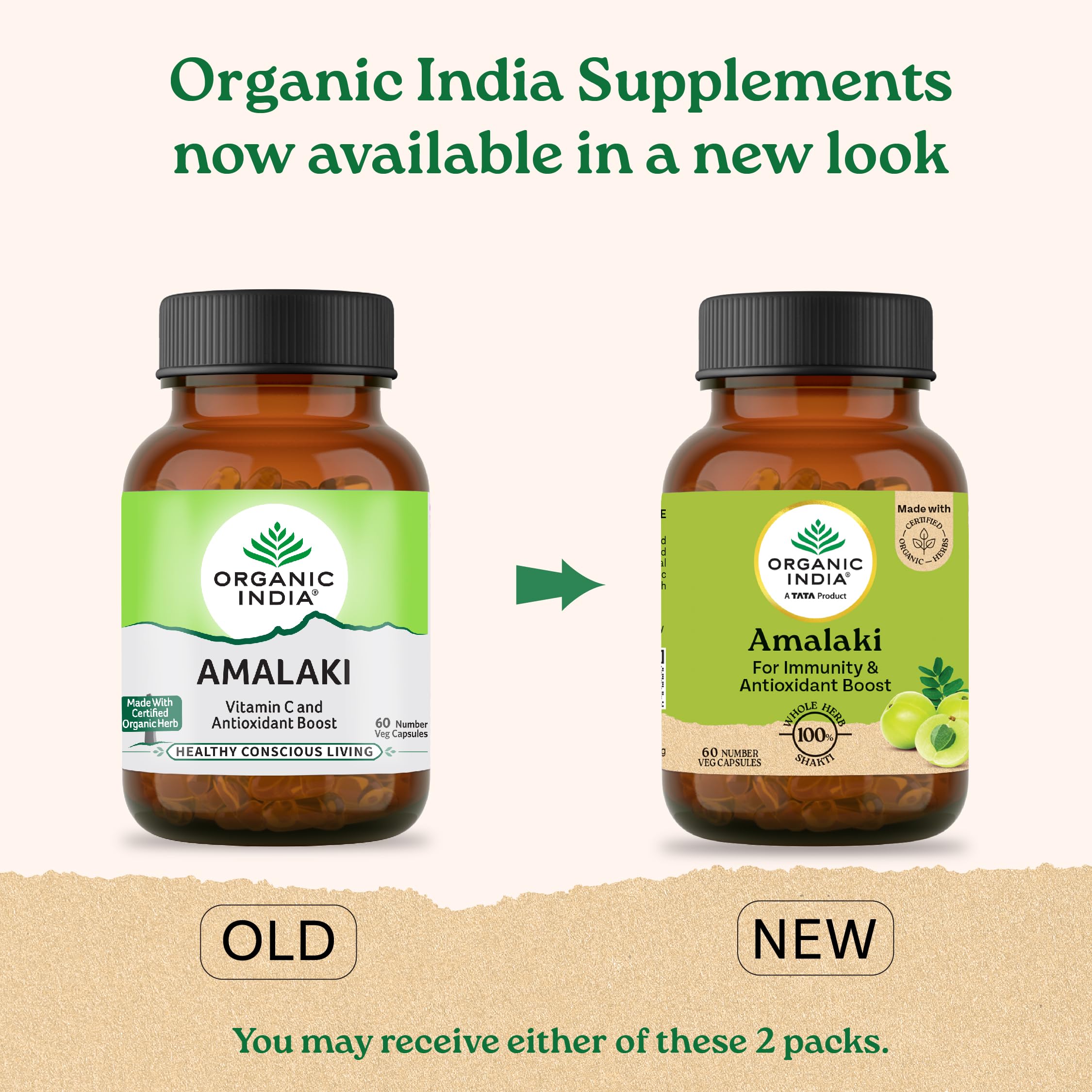 A TATA Product - Organic India Amalaki - 60 Veg Capsules, Natural Vitamin C & Antioxidants, Boosts Immune Response, Detoxify & Rejuvenate Digestive System, Reduce Acidity, GMP & NPOP Certified Organic – view 2