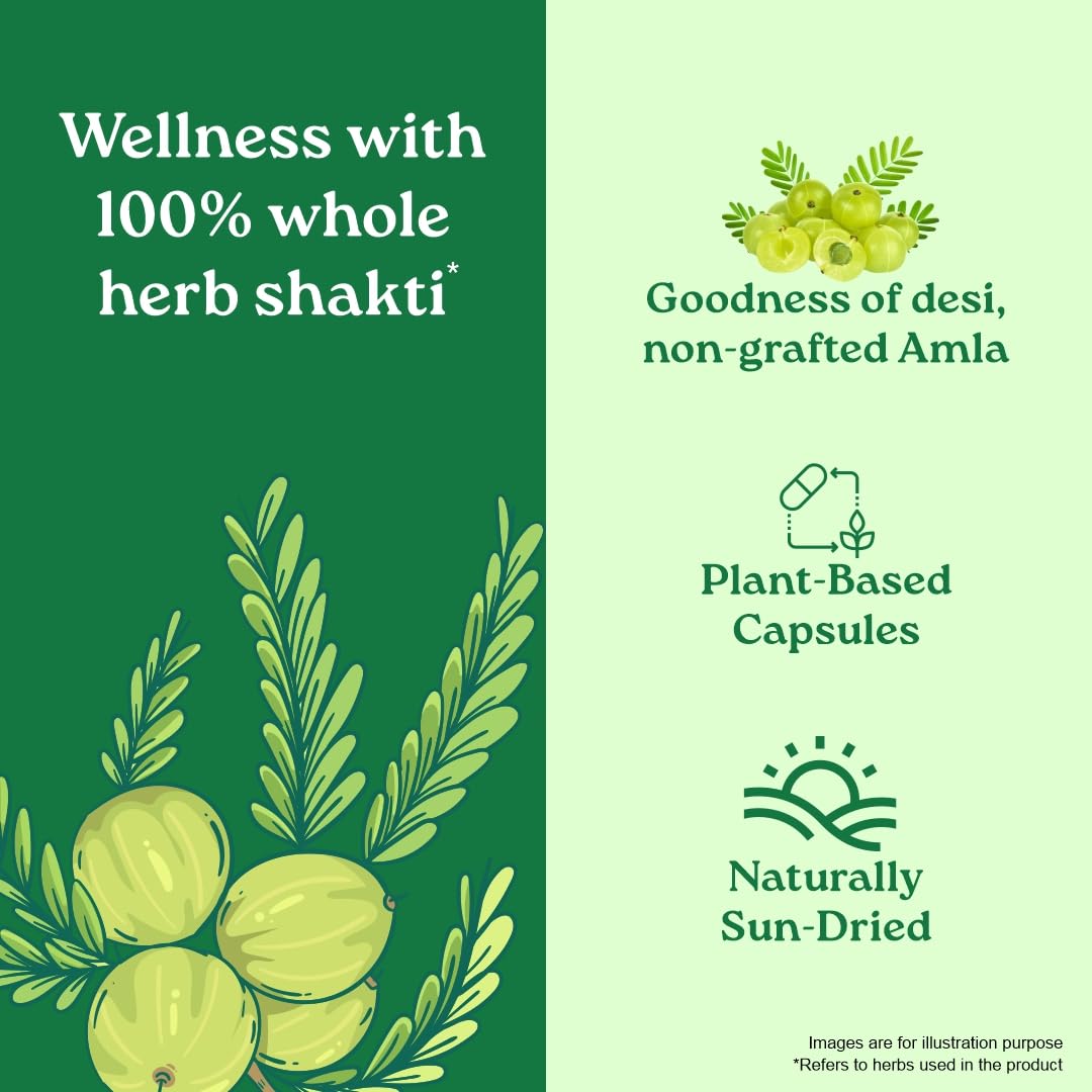 A TATA Product - Organic India Amalaki - 60 Veg Capsules, Natural Vitamin C & Antioxidants, Boosts Immune Response, Detoxify & Rejuvenate Digestive System, Reduce Acidity, GMP & NPOP Certified Organic – view 5