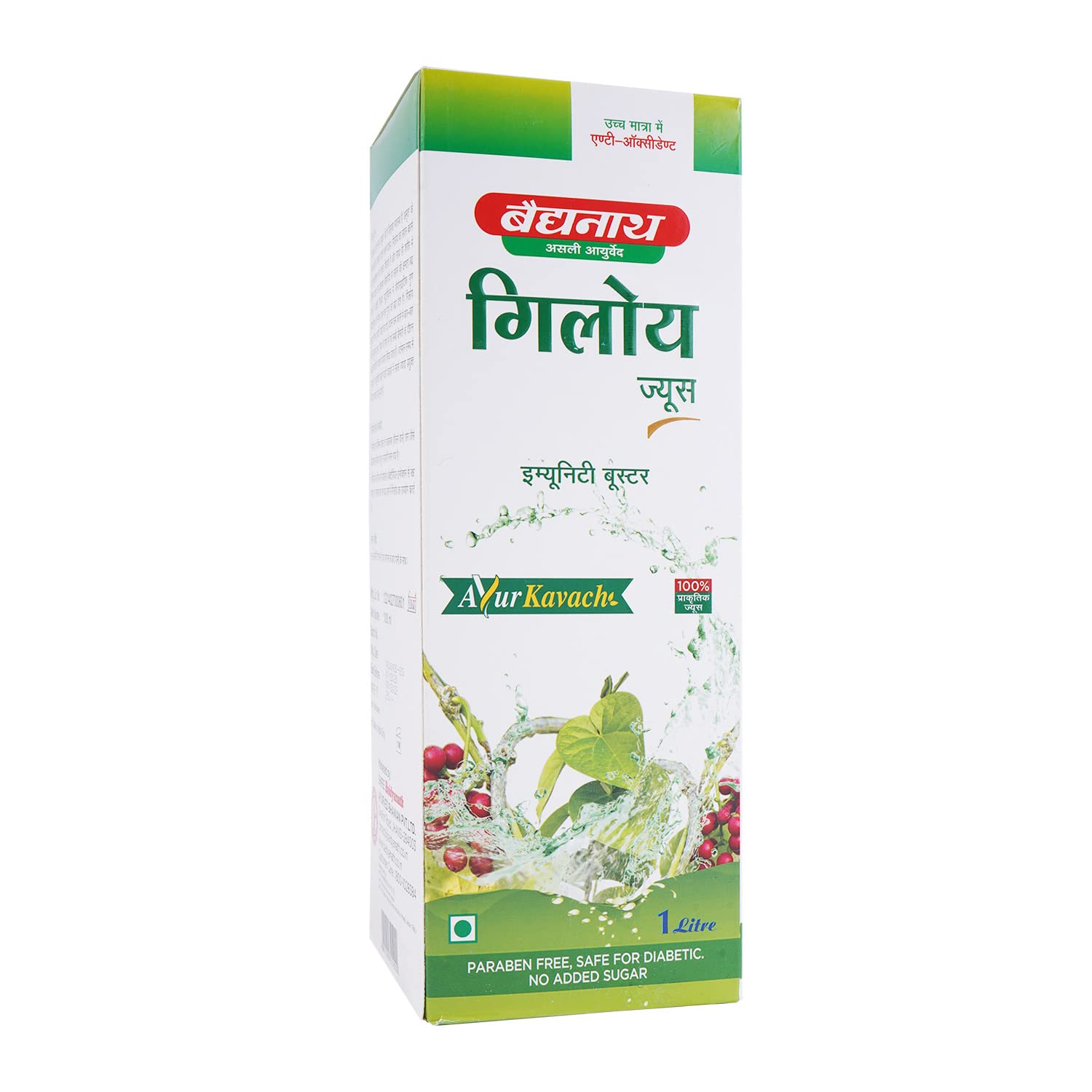 Baidyanath Jhansi – view 2