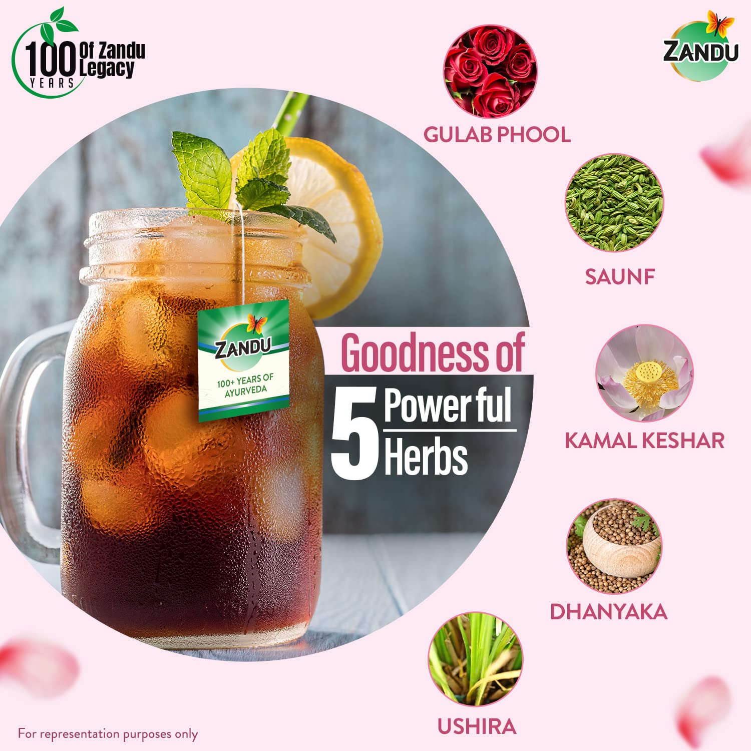 Zandu Calming & Refreshing Herbal Infusion: 1st Ayurvedic Iced Herbal Tea With Taste & Health Benefits – view 5