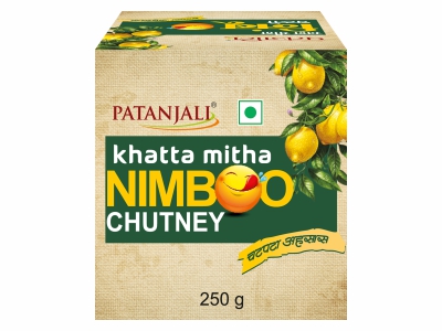 Patanjali Khatta Mitha Nimboo Chutney 250 g – view 2