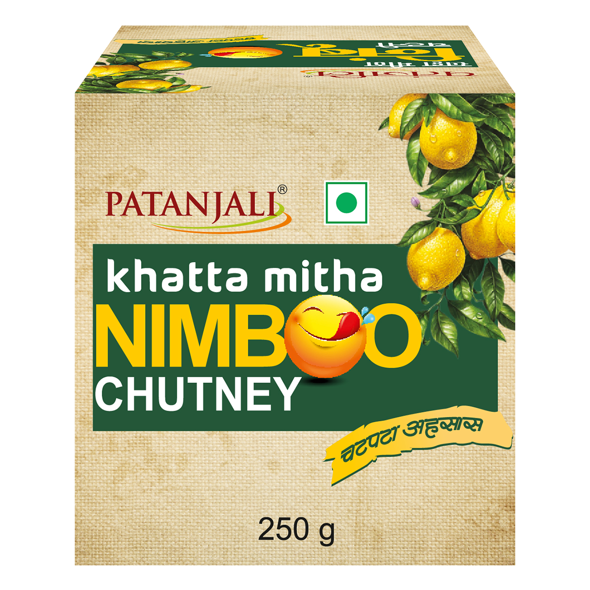 Patanjali Khatta Mitha Nimboo Chutney 250 g – view 1