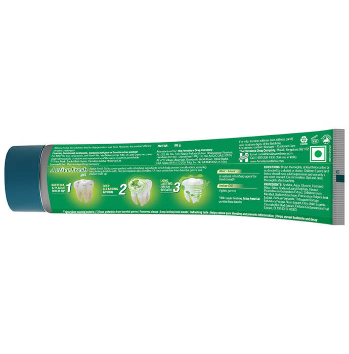 Himalaya Active Fresh Gel Saunf & Mint 80gm Herbal Toothpaste for Fresh Breath, Healthy Gums & Cavity Protection – view 5