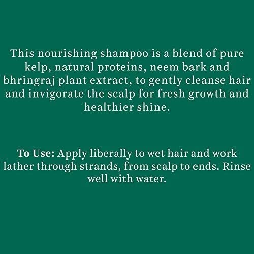 Biotique Ocean Kelp Anti Hairfall Shampoo – view 4
