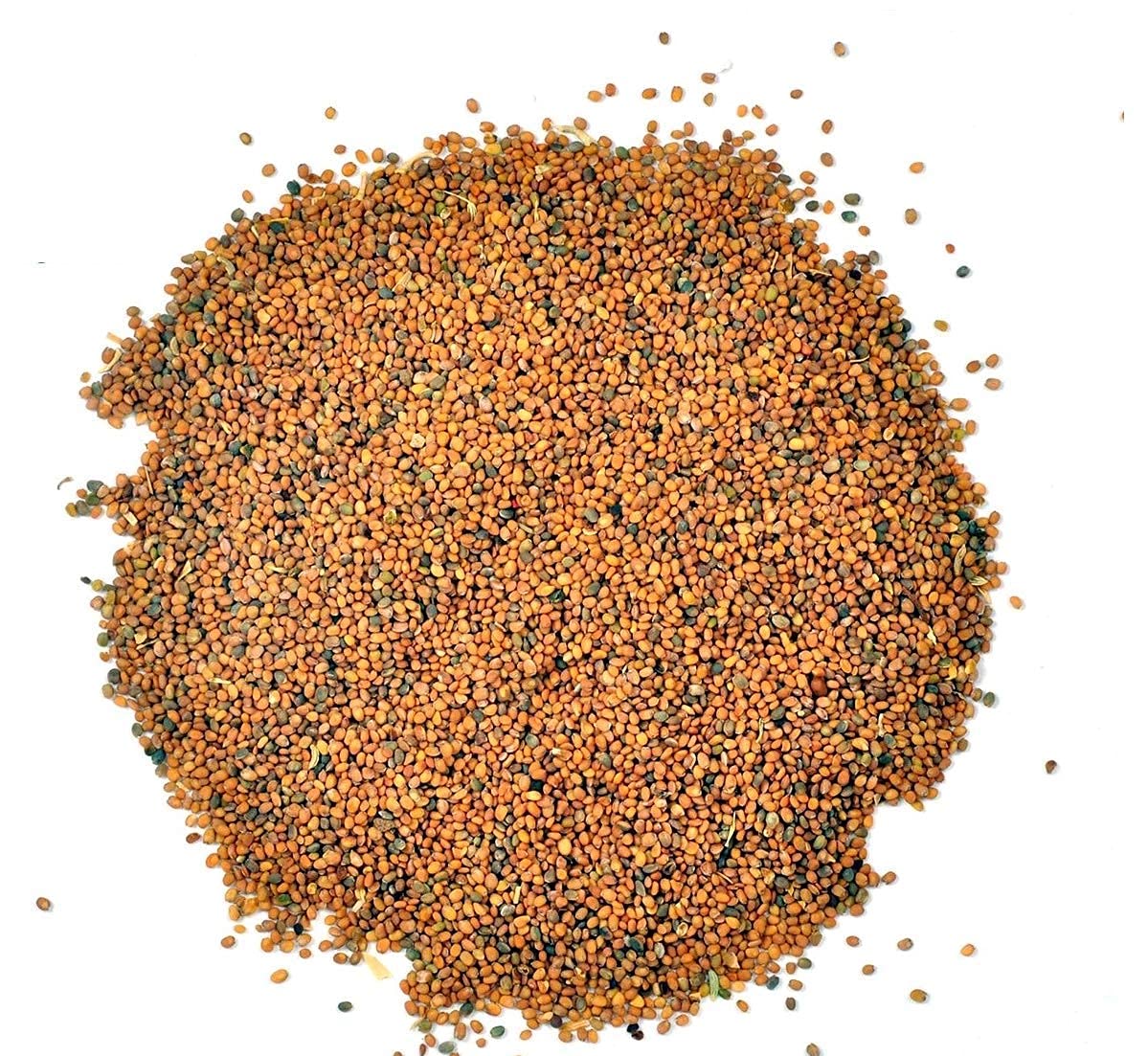 Yuvika Taramira Seeds - Tarameera - Tara Mira 100 Grams – view 2