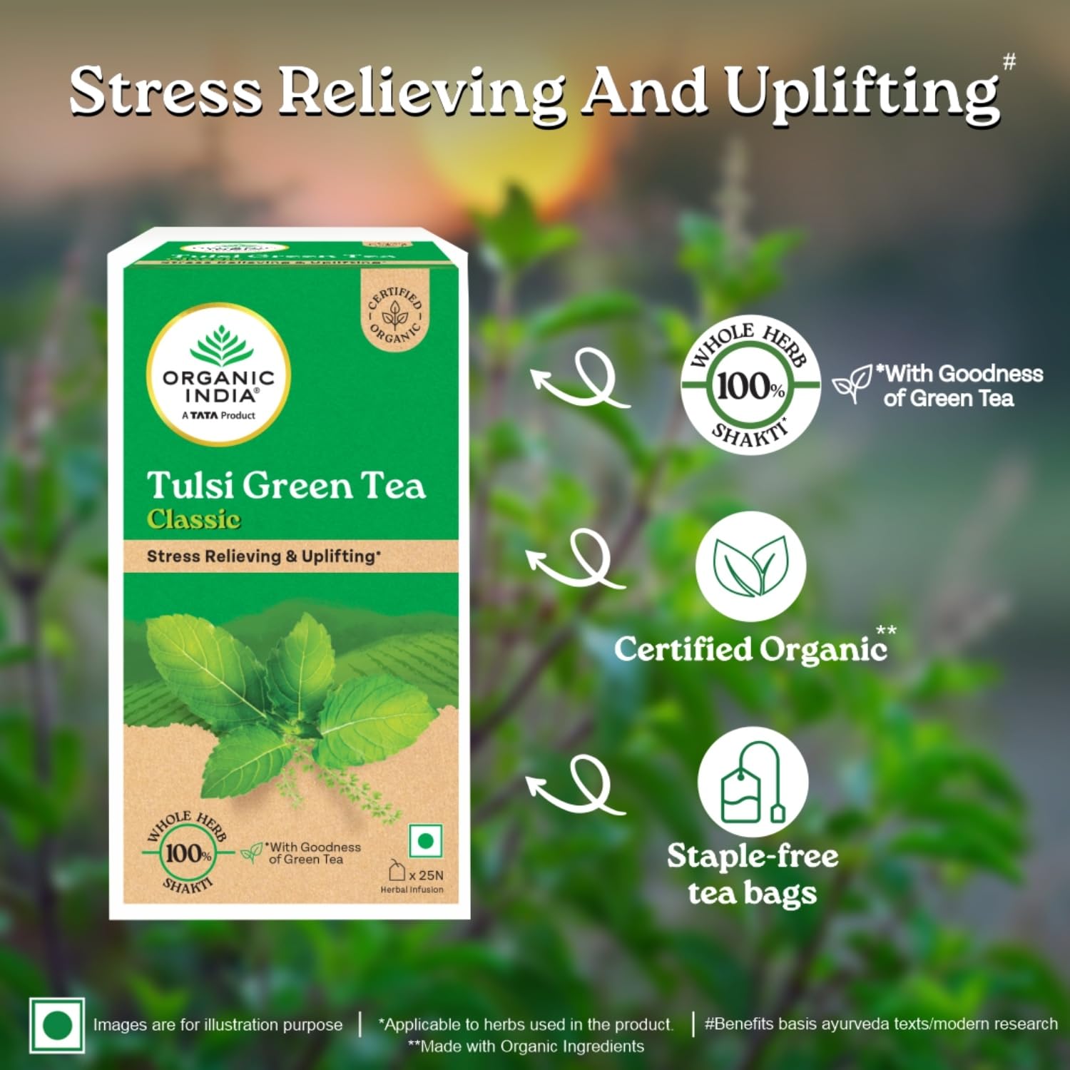 A TATA Product - Organic India Tulsi Green Tea Classic - 25 Tea Bags, Uplifts Mood, Rich in Antioxidants, Blend of Rama, Krishna & Vana Tulsi, Certified Organic – view 3