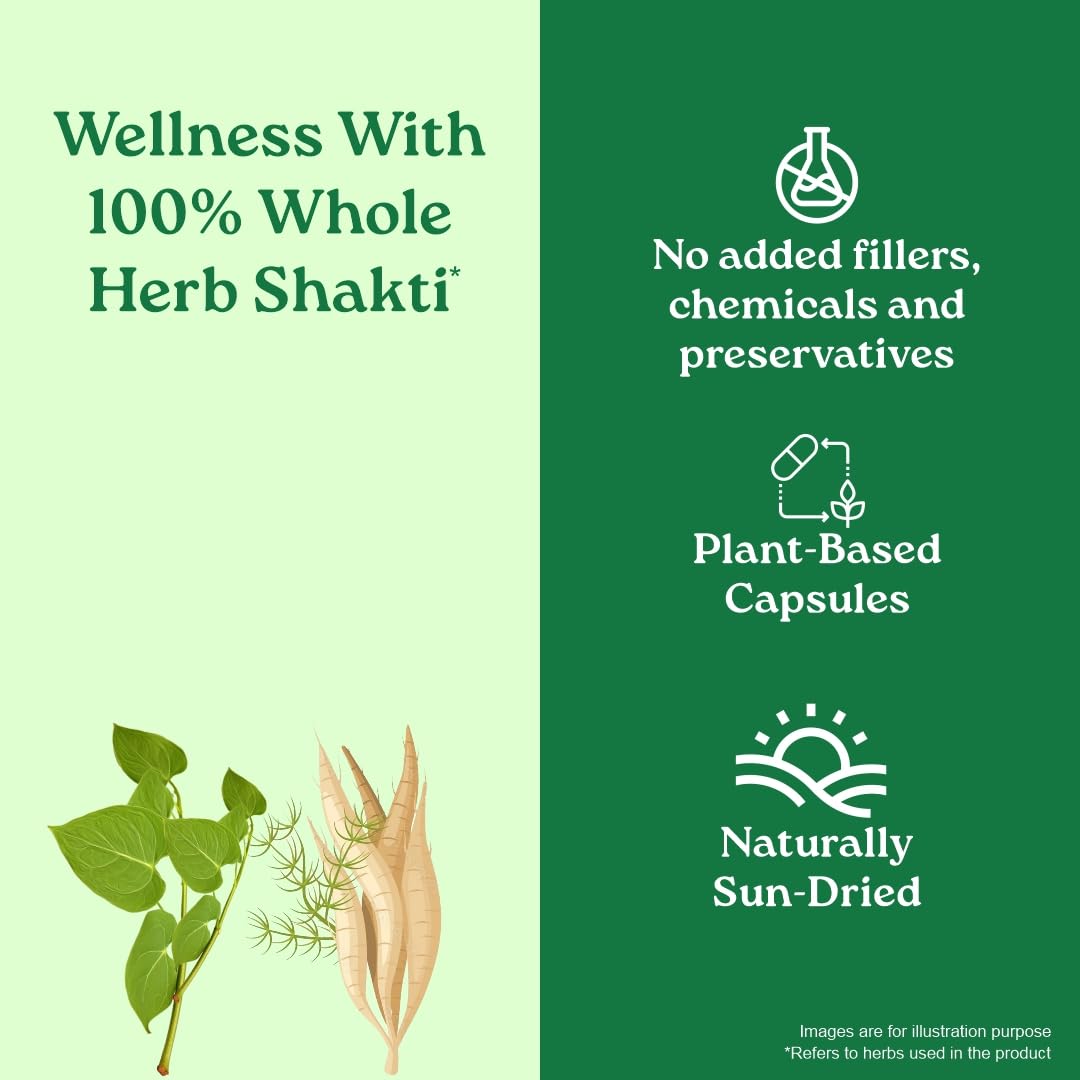 A TATA Product - Organic India Women's Well Being - 60 Veg Capsules, Plant Based Estrogens, Boosts Health & Vitality For Women Of All Ages & Restore Hormonal Balance, GMP & NPOP Certified Organic – view 5