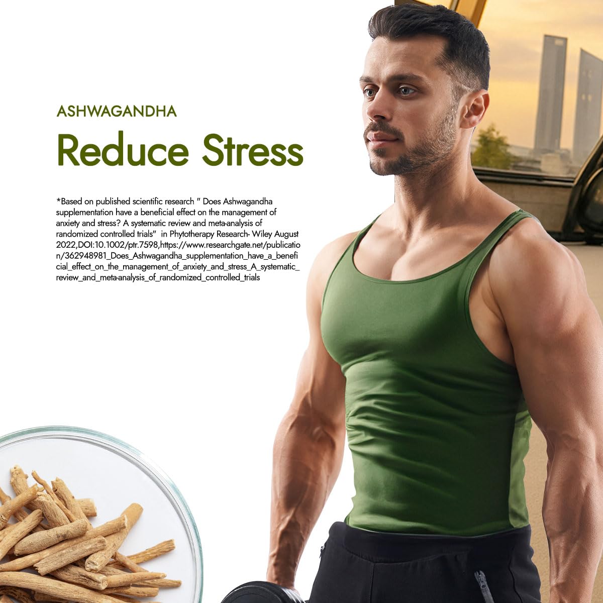 Kapiva Testofuel Shilajit Whey Protein – view 6