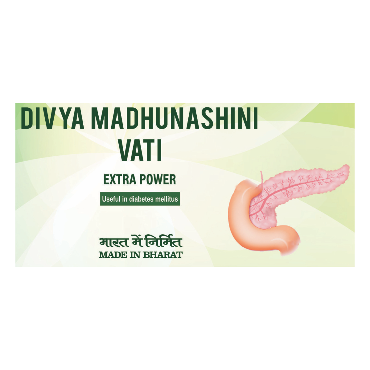 Divya Madhunashini Vati Extra Power 60 g – view 3
