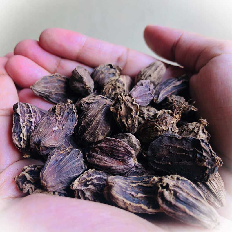 Whole black cardamom pods in 50 g spice pack