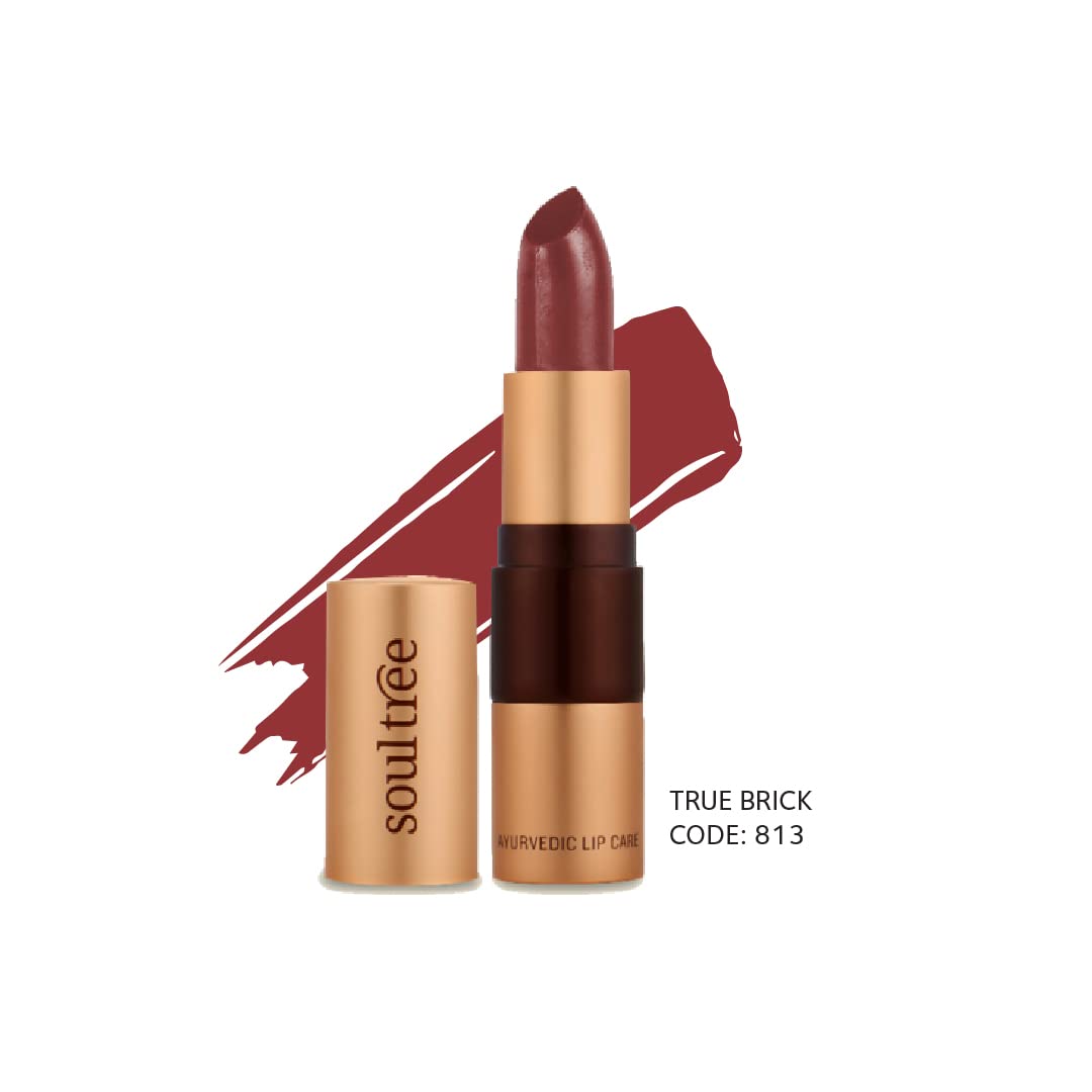 SoulTree Ayurvedic Lipstick - True Brick 813, 4gm – view 2