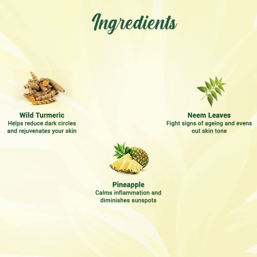 Biotique Pineapple Oil Control Foaming Face Wash – view 5
