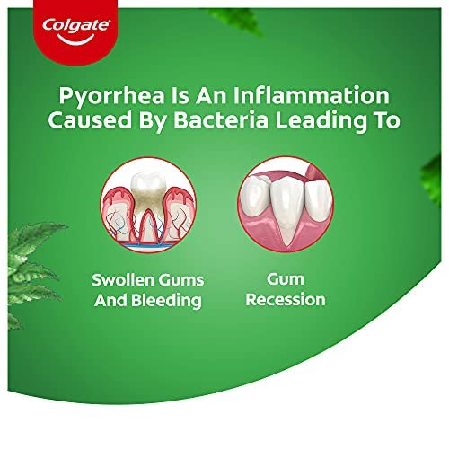 Colgate Active Salt Neem Toothpaste, 100g – view 4