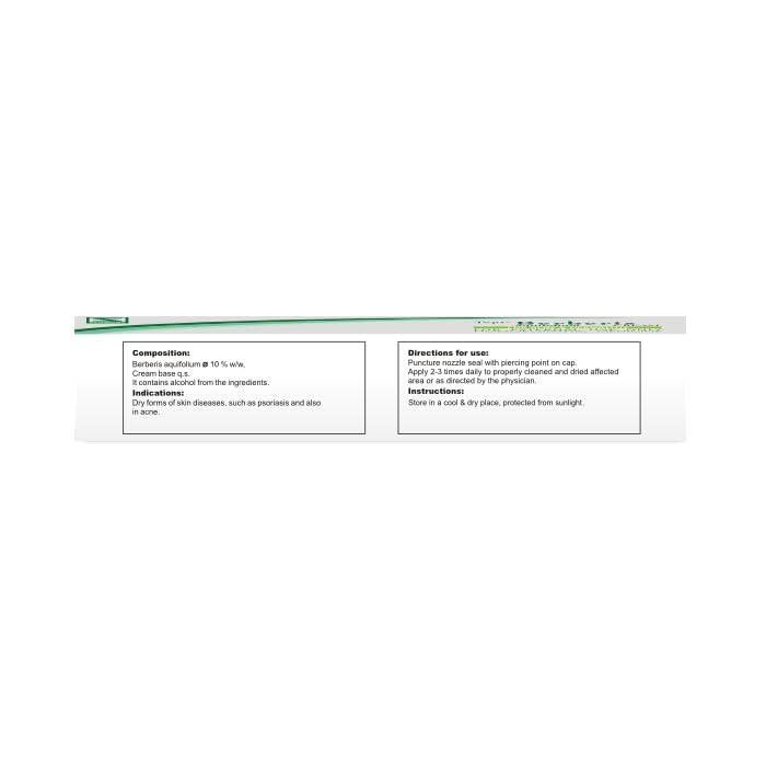 Dr.Willmar Schwabe India Topi Berberis 25 Gm – view 2