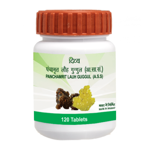 Panchamrit Lauh Guggul 120 Tabs 40 g – view 1