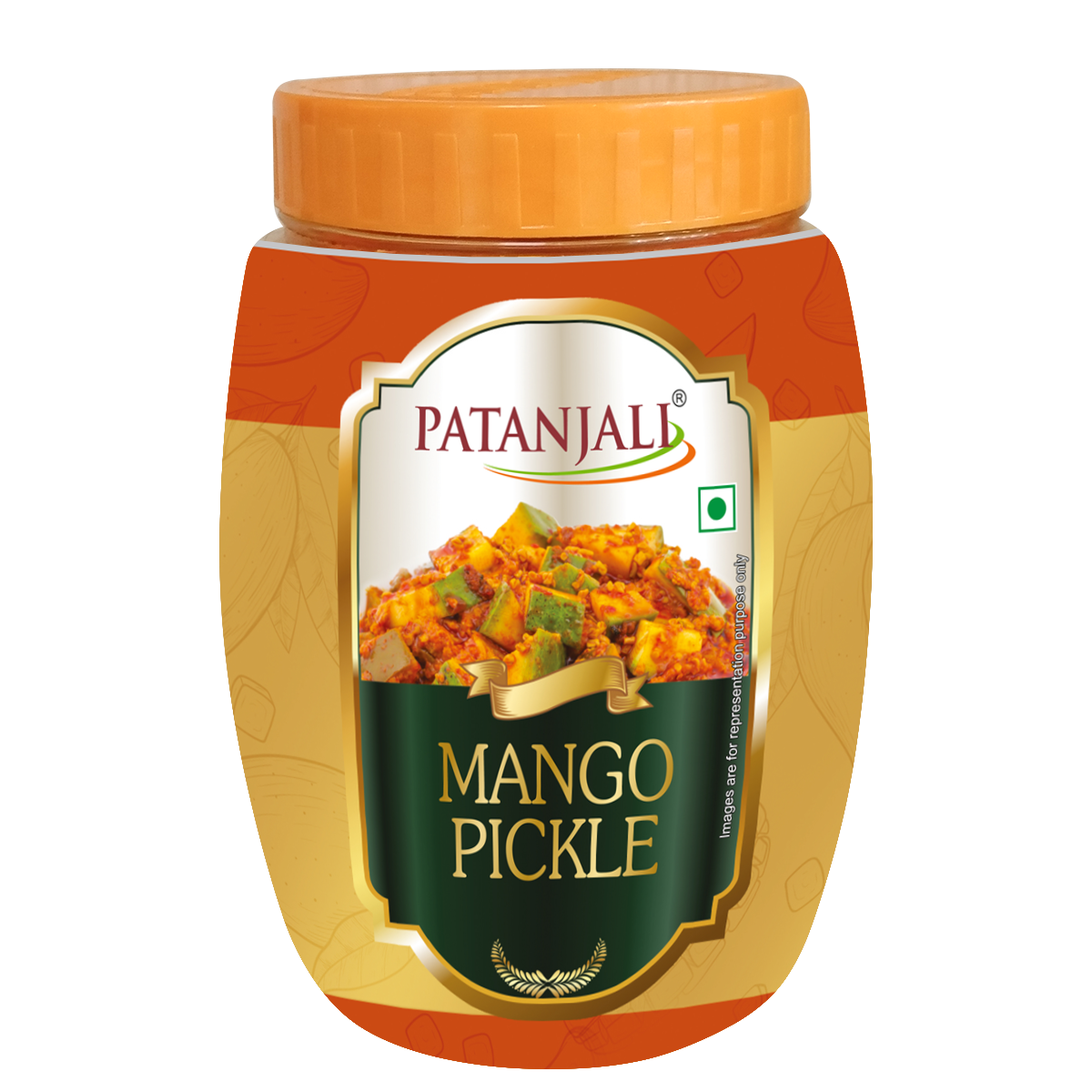 Patanjali Ayurved Lemon Pickle 500 g retail pack front view