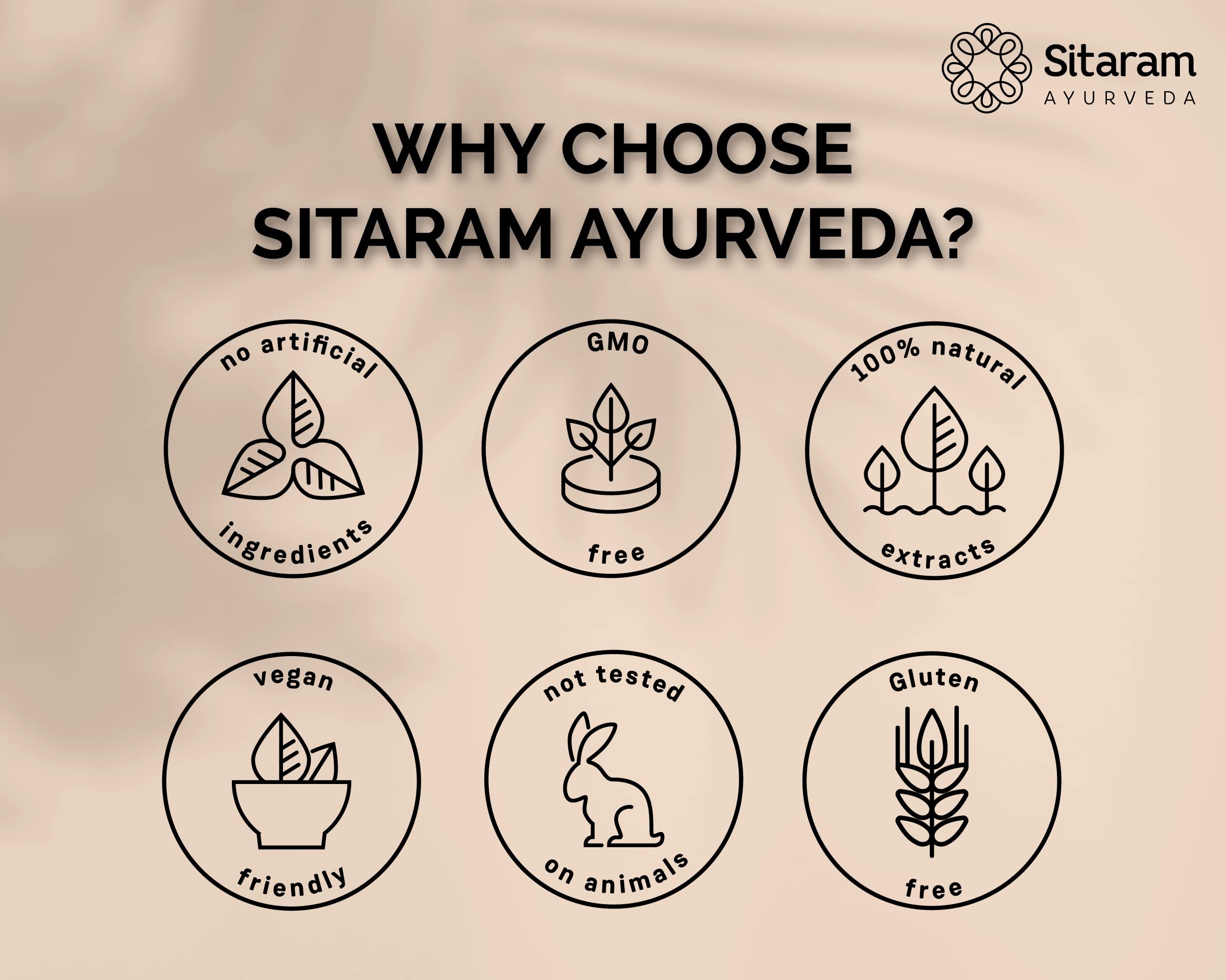 Sitaram Ayurveda Dhanyamlam 450 ml – view 3